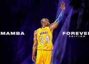 九游体育平台-维尼修斯爆发引领巴西新纪元，荷兰淘汰赛惊险过关苏格兰