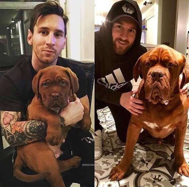 包含波尔多将在赫塔菲之战中展示强大实力的词条