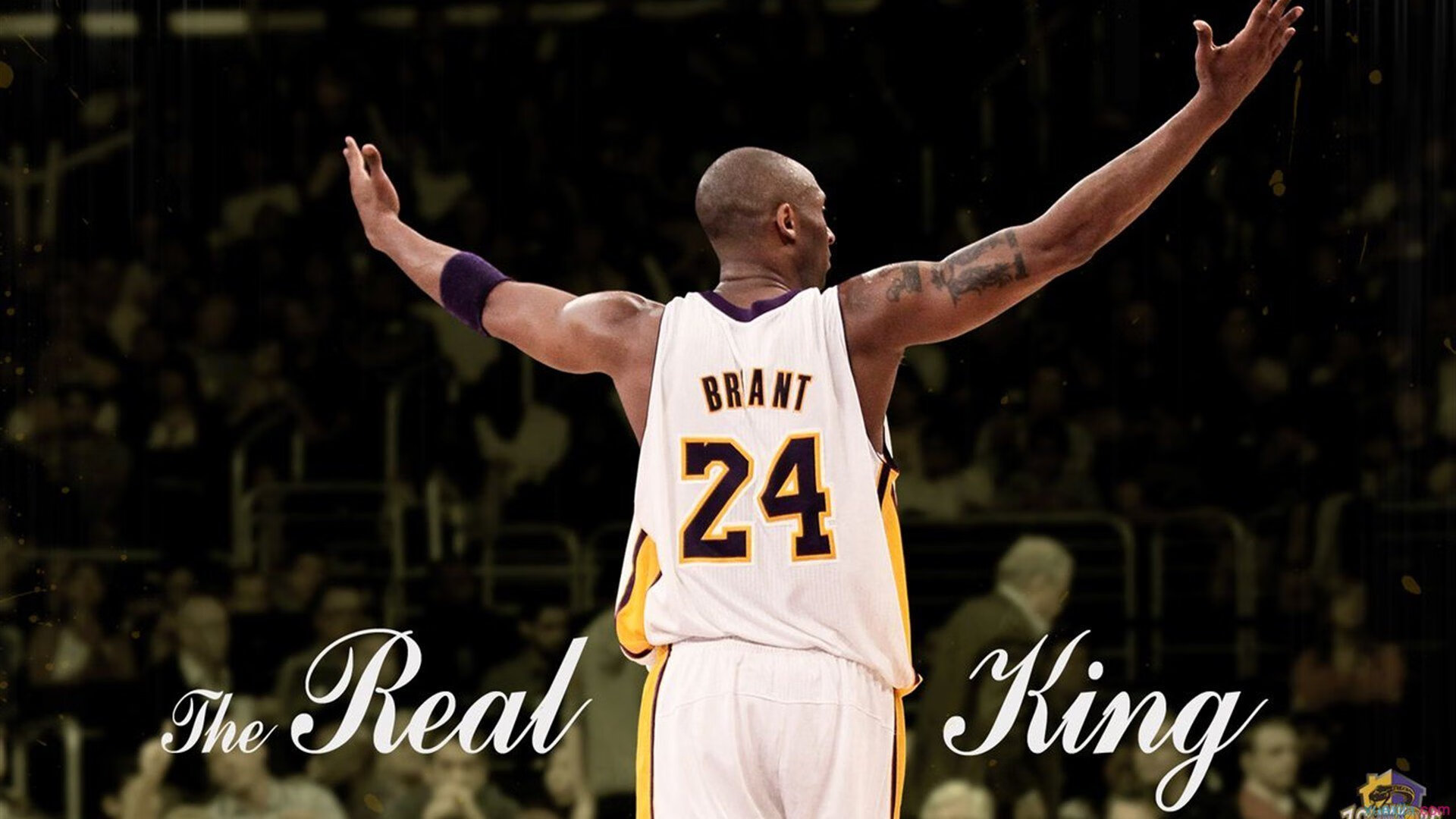 范弗利特爆发之夜,森林狼绝杀吉林队,一场跨越篮球文化的传奇对决